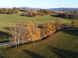 Prodej pozemku pro bydlení, Kolinec - Tržek, 1688 m2