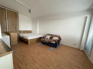 Pronájem bytu 1+kk, Mladá Boleslav, Jičínská, 39 m2