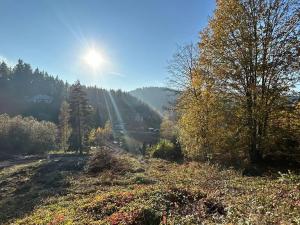 Prodej pozemku pro bydlení, Smolné Pece, 1373 m2