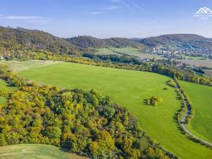 Prodej lesa, Ronov nad Doubravou, Svatokřížská, 1444 m2