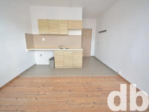 Pronájem bytu 1+kk, Nové Sedlo, Sadová, 20 m2