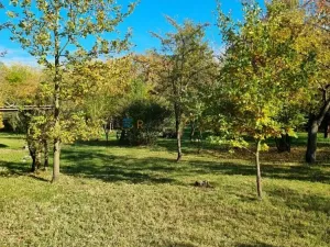 Prodej sadu/vinice, Praha - Horní Počernice, Skorkovská, 7740 m2