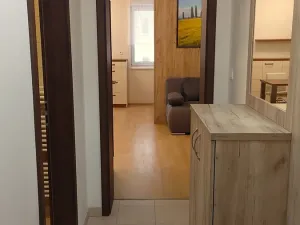 Pronájem bytu 1+kk, Trhové Sviny, Za Pilou, 40 m2