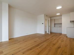 Pronájem bytu 2+kk, Praha - Žižkov, 59 m2