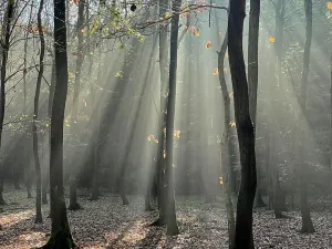 Prodej pozemku pro bydlení, Louňovice, Za Hřištěm, 1040 m2