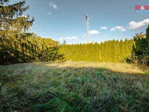 Prodej rodinného domu, Rychnov nad Kněžnou, Městská Habrová, 226 m2