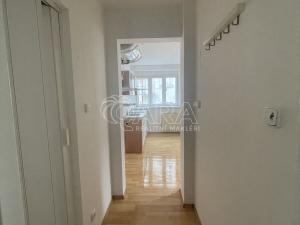 Pronájem bytu 1+kk, Praha - Podolí, Nedvědovo náměstí, 24 m2