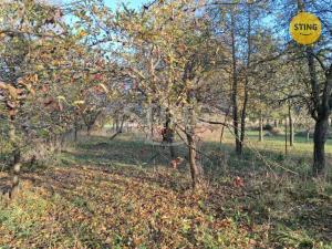 Prodej zemědělské usedlosti, Rájec, 529 m2