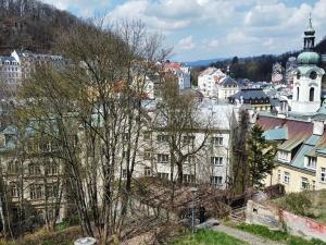 Prodej komerčního pozemku, Karlovy Vary, Hálkův vrch, 1340 m2