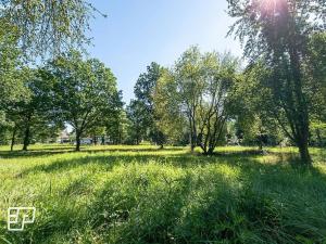 Pronájem komerčního pozemku, Jeníkov, 13072 m2