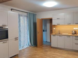 Pronájem bytu 1+kk, Brno - Bystrc, 40 m2