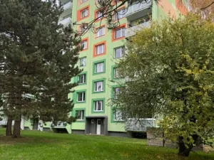 Prodej bytu 1+1, Vyškov, Puškinova, 38 m2