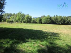 Prodej louky, Abertamy, 10001 m2