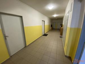 Pronájem bytu 2+kk, Holubice, Platanová, 99 m2