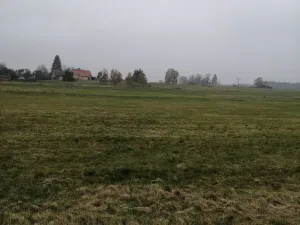 Prodej podílu 1/2 louky, 15437 m2