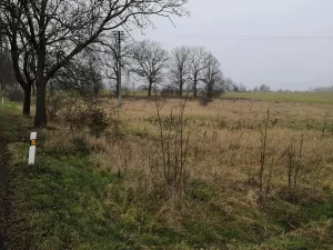 Prodej podílu 1/2 louky, 15437 m2
