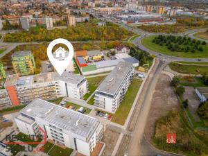 Pronájem bytu 2+kk, Plzeň, Goldscheiderova, 52 m2