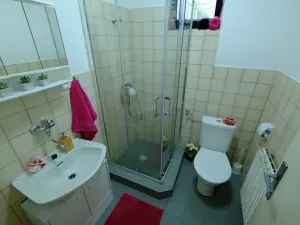 Pronájem rodinného domu, Uherský Brod, 85 m2