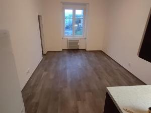 Pronájem bytu 1+kk, Praha - Vršovice, Pod Rapidem, 25 m2