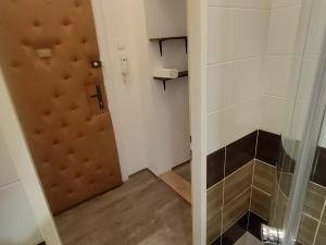 Pronájem bytu 1+kk, Praha - Vršovice, Pod Rapidem, 25 m2