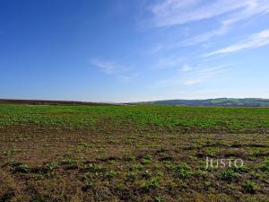 Prodej pozemku pro bydlení, Uherské Hradiště, Na Vyhlídce, 4811 m2