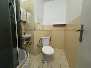 Pronájem bytu 1+1, Nový Bor, Severní, 38 m2