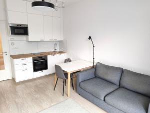 Pronájem bytu 1+kk, Praha - Strašnice, Počernická, 69 m2