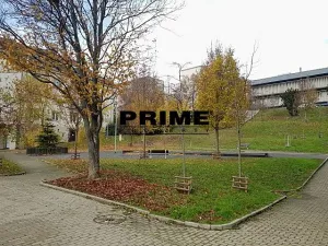 Pronájem bytu 2+1, Praha - Vokovice, Kladenská, 55 m2