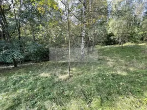 Prodej chalupy, Tanvald - Šumburk nad Desnou, 205 m2