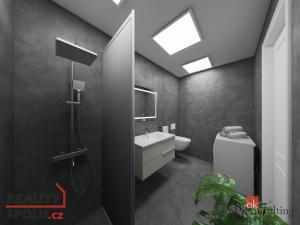 Prodej bytu 2+kk, Praha - Libeň, Heydukova, 51 m2