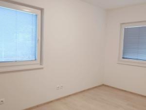 Pronájem rodinného domu, Nová Role - Mezirolí, 450 m2