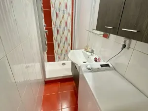 Prodej bytu 2+kk, Starý Plzenec, Herejkova, 41 m2