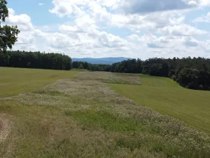 Dražba pole, Luhačovice, 26333 m2