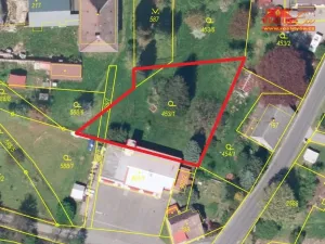 Prodej pozemku pro bydlení, Olešnice v Orlických horách, 1100 m2