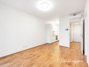 Pronájem bytu 2+kk, Praha - Žižkov, Malešická, 53 m2