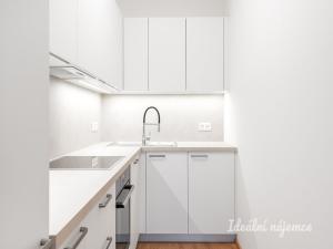 Pronájem bytu 2+kk, Praha - Žižkov, Malešická, 53 m2