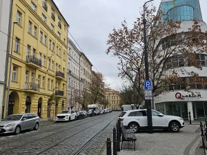 Pronájem bytu 1+kk, Praha - Vinohrady, Šafaříkova, 39 m2