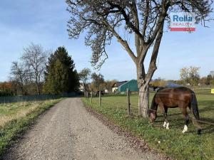 Prodej pozemku pro bydlení, Paceřice, 1000 m2