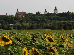 Prodej rodinného domu, Smečno, Hrdlívská, 84 m2