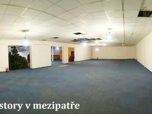 Pronájem skladu, Králův Dvůr - Počaply, Pod Dálnicí, 2348 m2