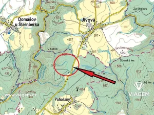 Prodej podílu lesa, Dolany, 293 m2