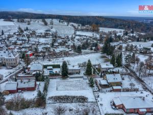 Prodej pozemku pro bydlení, Borová, 1250 m2