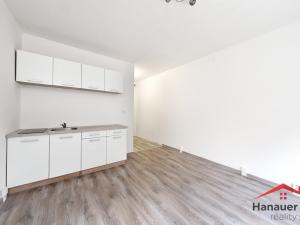 Prodej bytu 1+kk, Chlumec, Krušnohorská, 20 m2