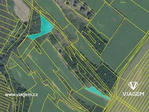 Prodej podílu pole, Černín, 1333 m2