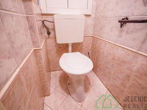 Pronájem bytu 3+1, Javorník, Dukelská, 71 m2