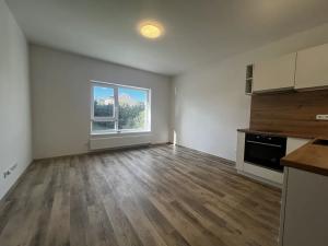 Pronájem bytu 1+kk, Karlovy Vary, Dubová, 29 m2