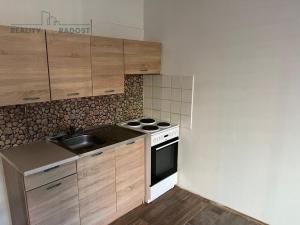 Pronájem bytu 1+kk, Teplice, Pod školou, 31 m2