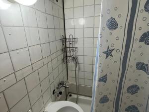 Pronájem bytu 1+kk, Teplice, Pod školou, 31 m2