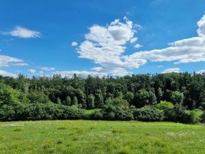 Prodej pozemku pro bydlení, Vyšehořovice, 919 m2