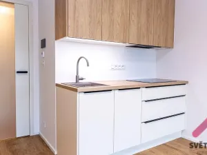 Pronájem bytu 1+kk, Praha - Žižkov, Šrámkové, 34 m2